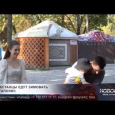 Путешественники вместо тропических стран едут на зимовку в Шымкент