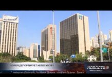 Казахстанцам в Южной Корее советуют собирать чемоданы