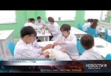 «Auzhan KTL» — 1 год!