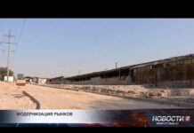 В Шымкенте модернизируют рынки по единым стандартам