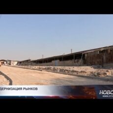 В Шымкенте модернизируют рынки по единым стандартам