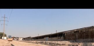 В Шымкенте модернизируют рынки по единым стандартам