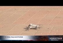 Как дроны помогают службам Шымкента поддерживать порядок в городе