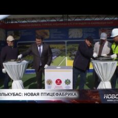 В Тюлькубасском районе строят новую птицефабрику