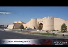 Шымкентская Цитадель обретёт новую жизнь
