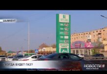 Власти Шымкента отрицают дефицит сжиженного газа на АЗС