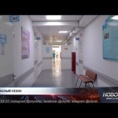 Сезон вирусов: как не стать пассажиром болезни