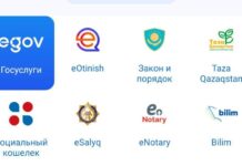 Сервис «Заң мен Тәртіп» помогает фиксировать нарушения в Шымкенте