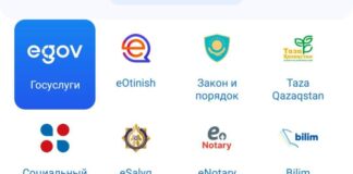 Сервис «Заң мен Тәртіп» помогает фиксировать нарушения в Шымкенте