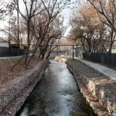 В Шымкенте ускоренными темпами реализуется проект благоустройства реки Кошкар-Ата