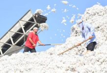 «Самый бедный регион» и самый высокий спрос на работников: о рынке труда Туркестанской области