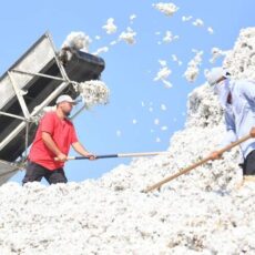 «Самый бедный регион» и самый высокий спрос на работников: о рынке труда Туркестанской области