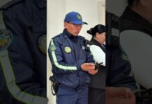 Профилактическое занятие по ПДД прошло в одной из школ Шымкента