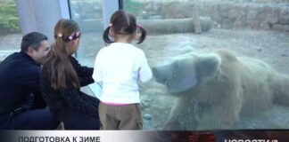 Теплый дом для пушистых сердец. Зоопарк готовится к зиме