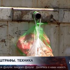 Шымкент переходит на новую систему вывоза и сортировки отходов