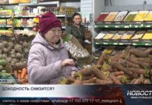 Эксперты прогнозируют снижение доходности ЕНПФ