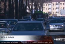 Казахстанцам обещают доступный автолизинг: запуск уже в декабре