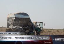 В Туркестанской области активно развивают аграрный сектор