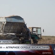 В Туркестанской области активно развивают аграрный сектор