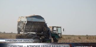 В Туркестанской области активно развивают аграрный сектор