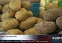 Картофель в Шымкенте подорожал до 300 тенге за килограмм