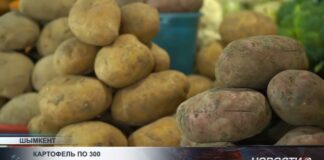 Картофель в Шымкенте подорожал до 300 тенге за килограмм