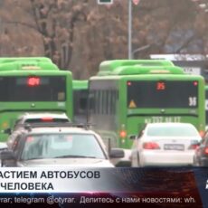 В Шымкенте автобусы стали участниками 185 аварий, есть погибшие