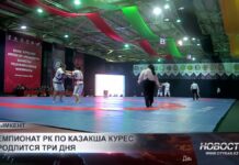 В Шымкенте стартовал Чемпионат Республики по «Қазақша күрес»