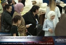 В Шымкенте сокращается количество безработной молодежи категории NEET
