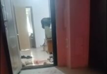 Видео с истекающей кровью женщины в Шымкенте попало в сеть