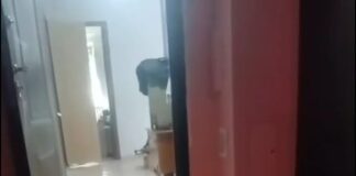 Видео с истекающей кровью женщиной в Шымкенте попало в сеть