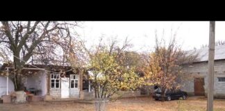 Конфликт на автомойке обернулся гибелью 19-летнего парня в Туркестанской области