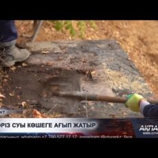 Канализация потекла на оживлённой улице Шымкента