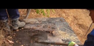 Канализация потекла на оживлённой улице Шымкента