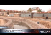 Что делают с Кошкаратой и зачем это нужно городу