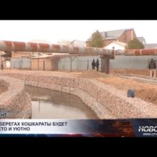 Что делают с Кошкаратой и зачем это нужно городу