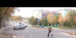 Ребенка насмерть сбили на «зебре» в Шымкенте