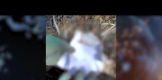 Нашли странные “ритуальные” предметы на кладбище — люди напуганы