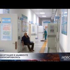 ДСЭК Шымкента: «осенний пик ОРВИ пошёл на спад»