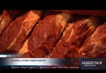 Конина выросла в цене на 200 тенге