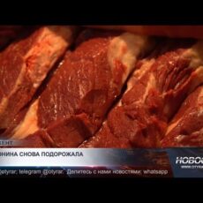 Конина выросла в цене на 200 тенге