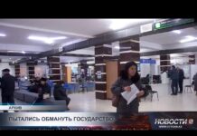 Около 550 человек занижали свои доходы для получения АСП