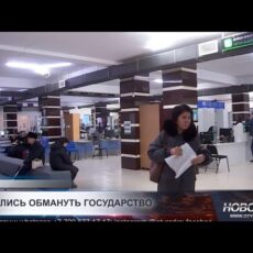 Около 550 человек занижали свои доходы для получения АСП