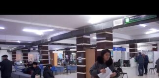 Около 550 человек занижали свои доходы для получения АСП