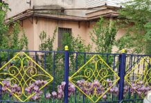 Почему загубили конкурс-акцию «Таза қала»?