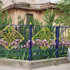 Почему загубили конкурс-акцию «Таза қала»?