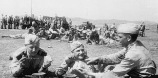 Память пылает в сердцах: герои войны и гордость республики