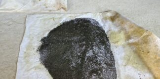 Две тонны насвая в сарае: полиция накрыла подпольный цех в Туркестанской области