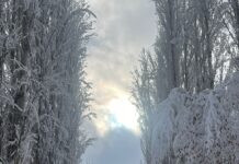 В селе Каскасу восстановили электроподачу