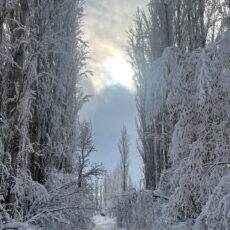 В селе Каскасу восстановили электроподачу